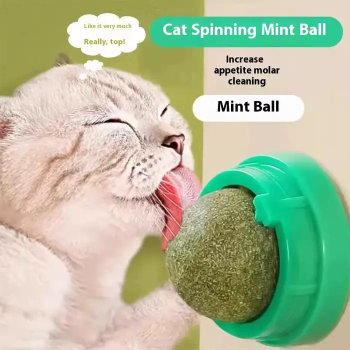 Boule d'herbe à chat, jouet pour chat