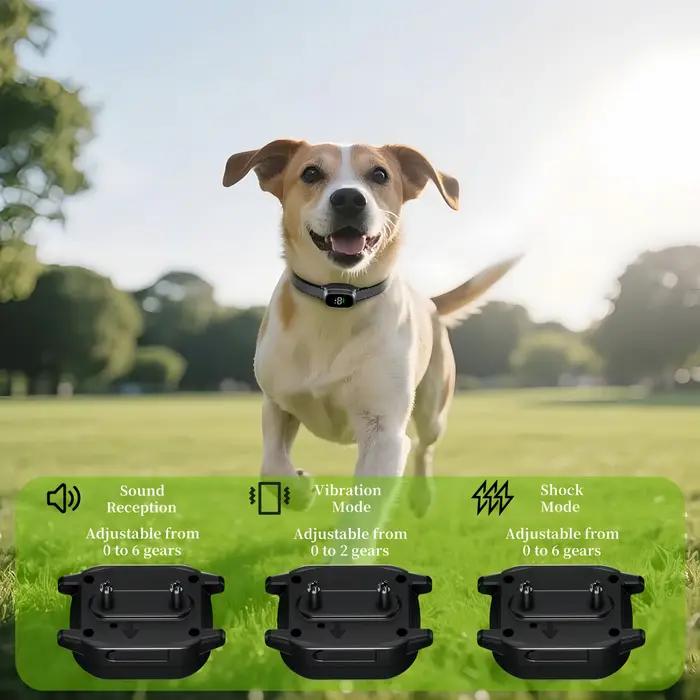 Dispositif Anti-aboiement pour chien