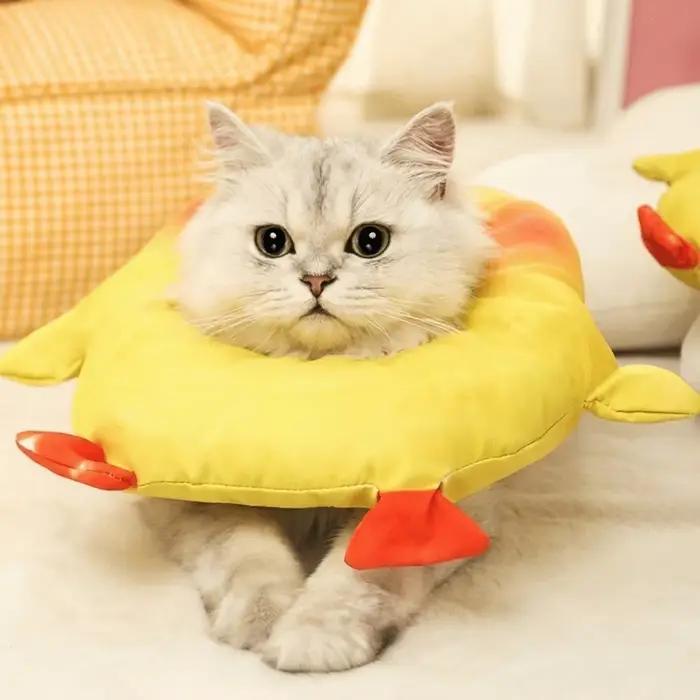 Collier élisabéthain réglable pour chat