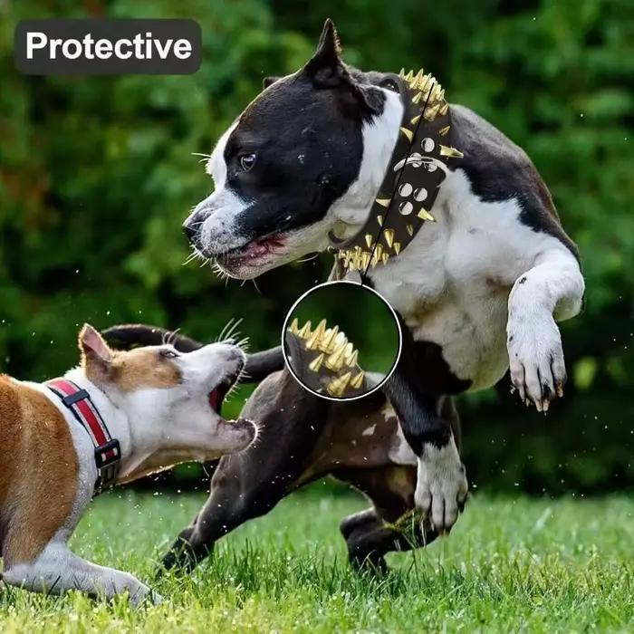 Ensemble collier et laisse pour chien à pointes