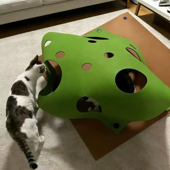 Tunnel interactif pour chat