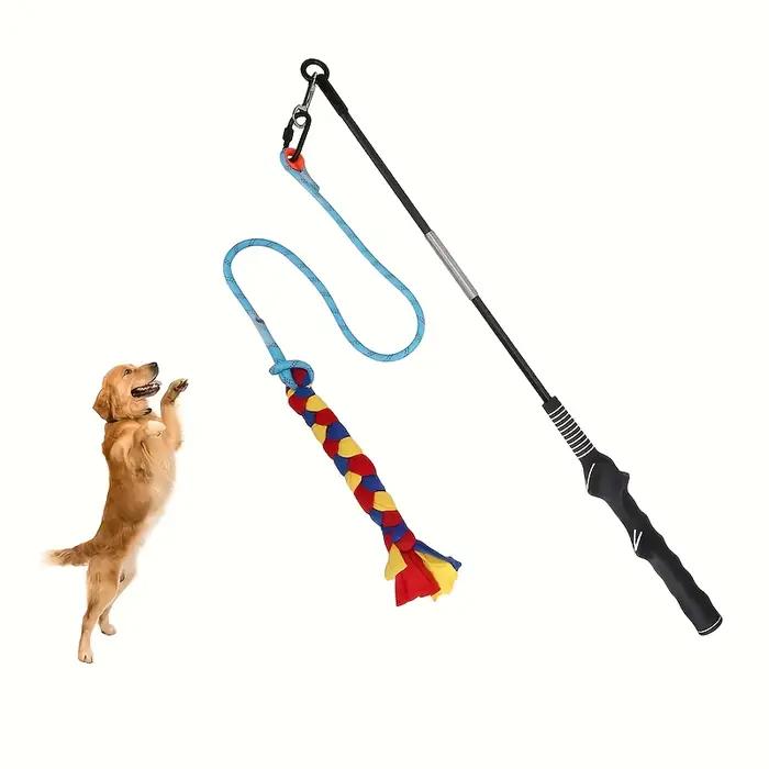 Bâton de dressage et de jeu pour chien