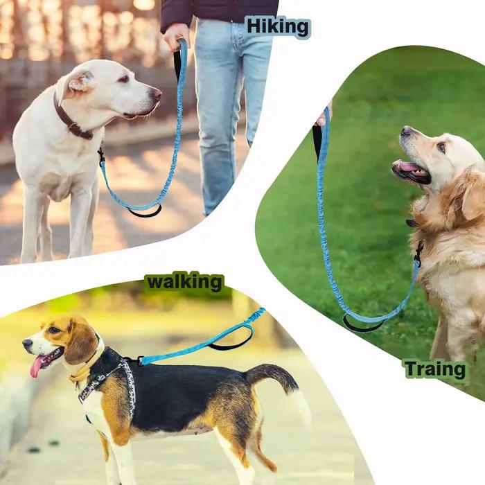 Laisse pour chien élastique