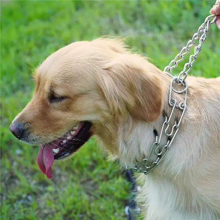 Collier d'entraînement Anti-traction pour chien