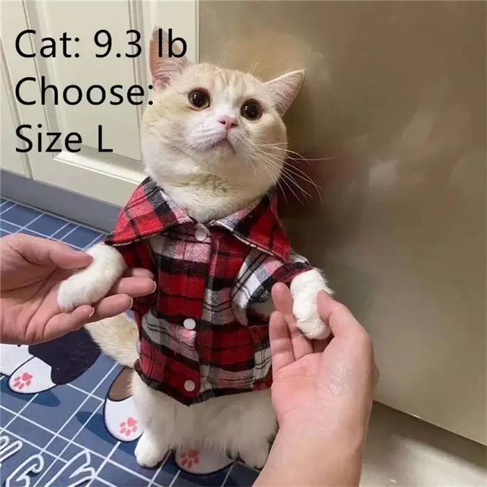 Mn-Manteau chemise à carreaux pour petits chiens et chats