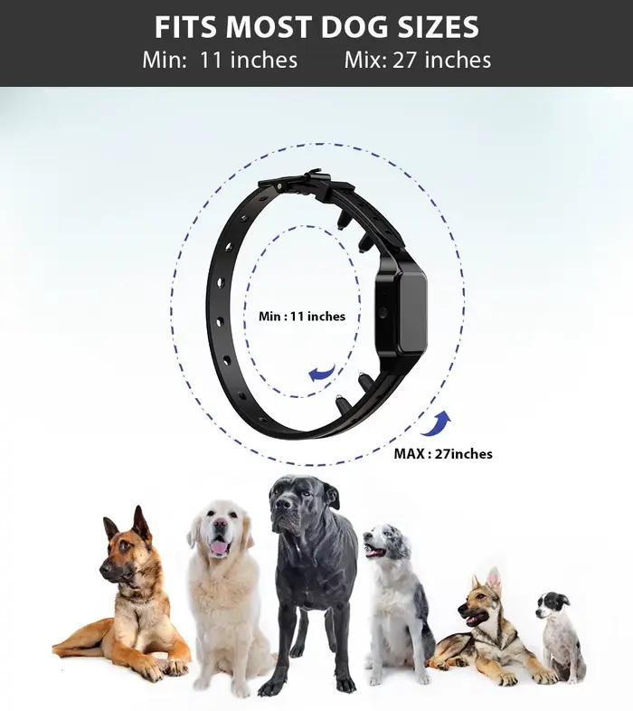 Nouveau collier de dressage pour chien