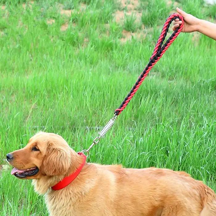 Chaîne courte antidéflagrante pour chien