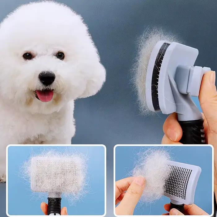 Brosse de Massage pour chiens