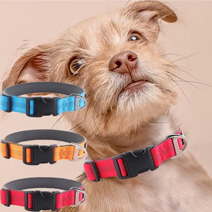 Colliers réglables en acier inoxydable pour animaux de compagnie