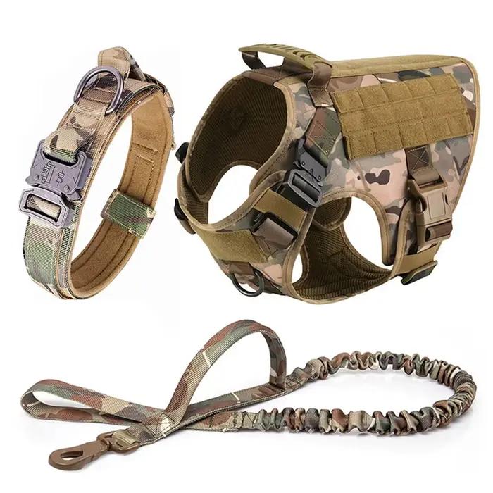 Grand collier de transport pour chien