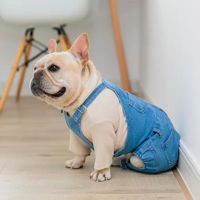 Denim chien manteau automne hiver animaux chiens vêtements gros