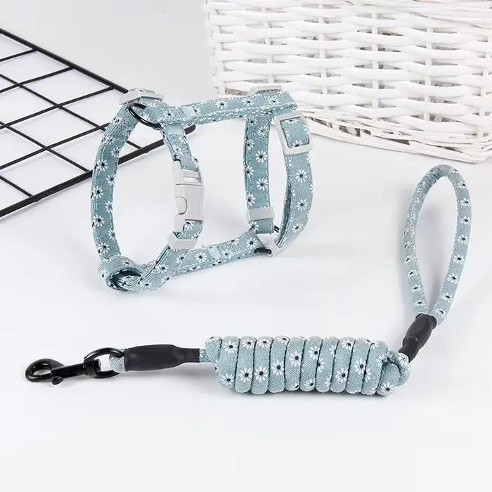 Collier pour chien, harnais