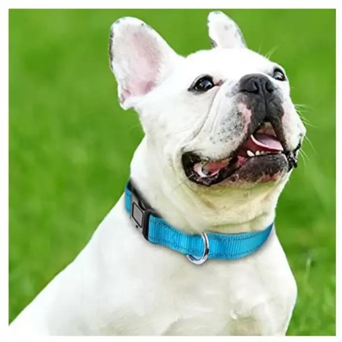 Collier pour chien en nylon doux rembourré réglable respirant durable confortable