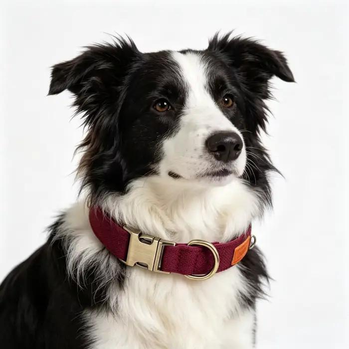 Collier pour animaux de compagnie rouge avec boucle en alliage