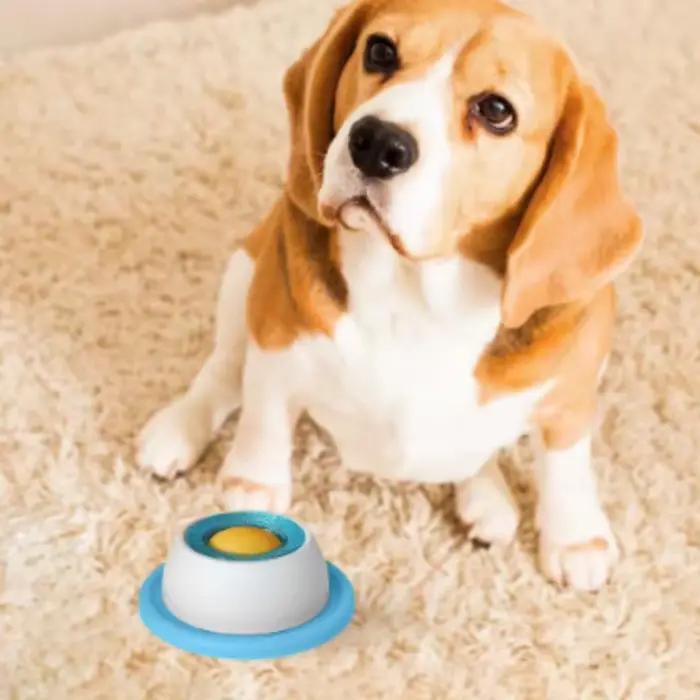 Jouets interactifs pour chiens