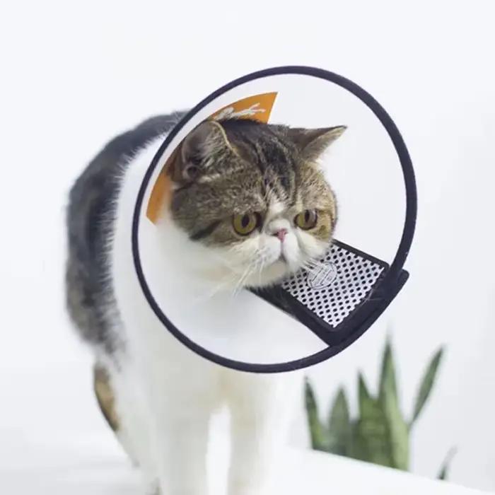 Collier élisabéthain pour animaux de compagnie