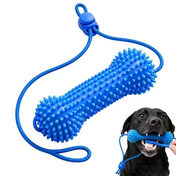Brosses à dents en caoutchouc souple pour chiens
