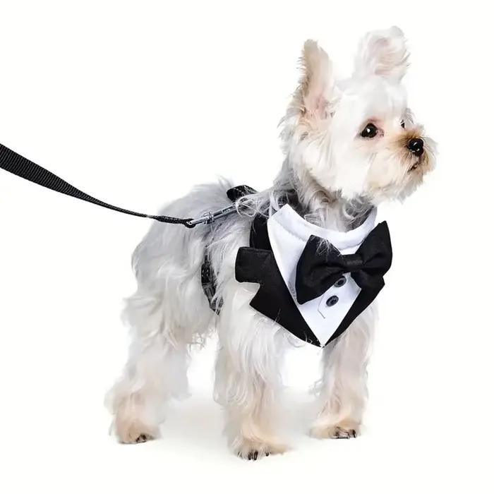 Harnais de smoking pour chien