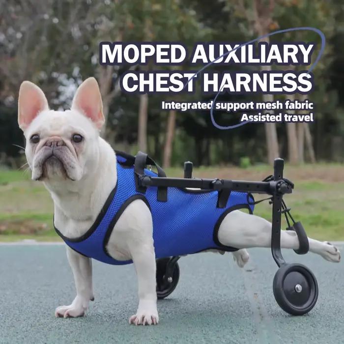 Harnais de poitrine et de dos pour chien handicapé