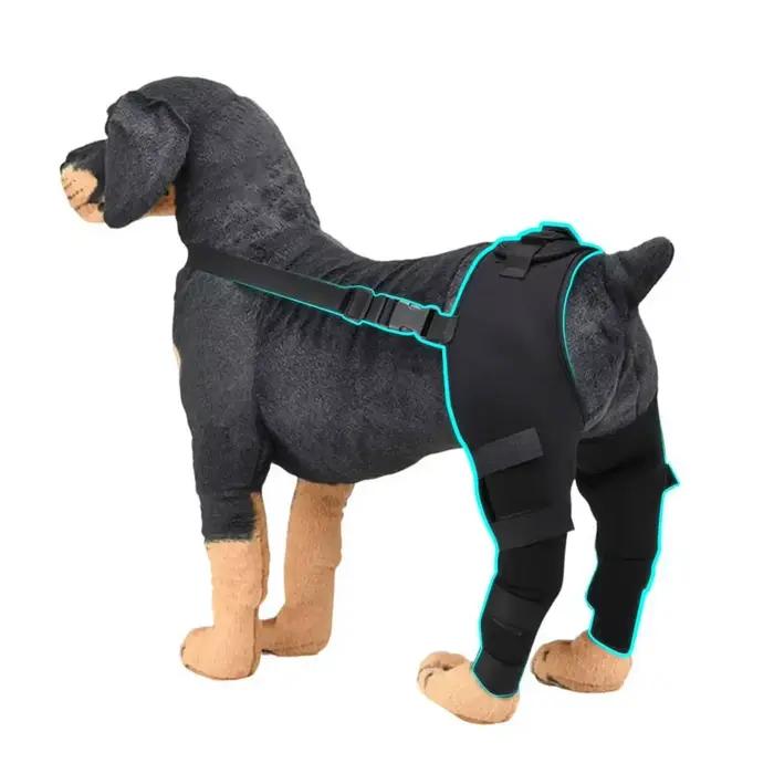 Attelle de soutien réglable pour genou de chien âgé