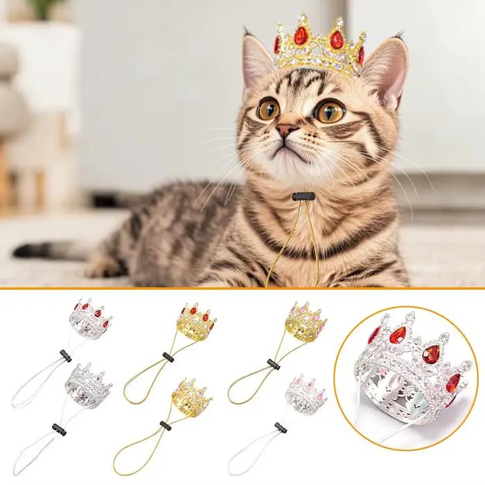 Couronne pour animaux de compagnie