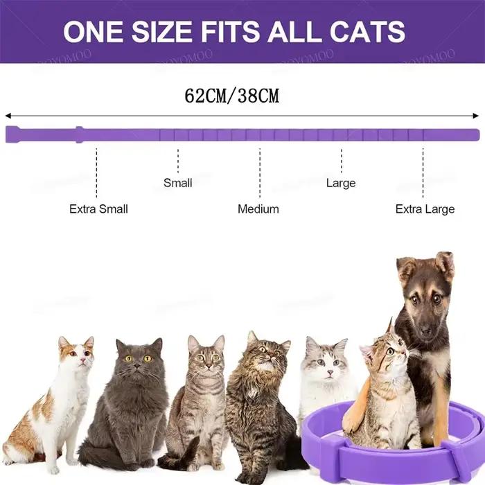 Collier apaisant aux phéromones pour chien et chat