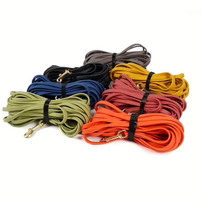 Laisse pour chien de 1