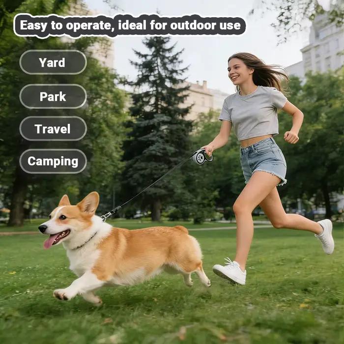 Laisse rétractable automatique pour chien