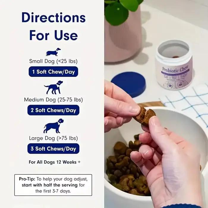 30 Probiotiques pour chiens – Complément digestif et immunitaire pour toutes les races