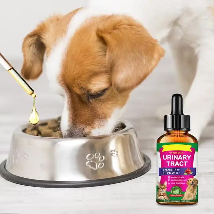 Traitements UTI pour animaux de compagnie