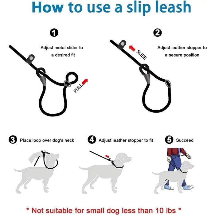 Laisse d'entraînement pour chien