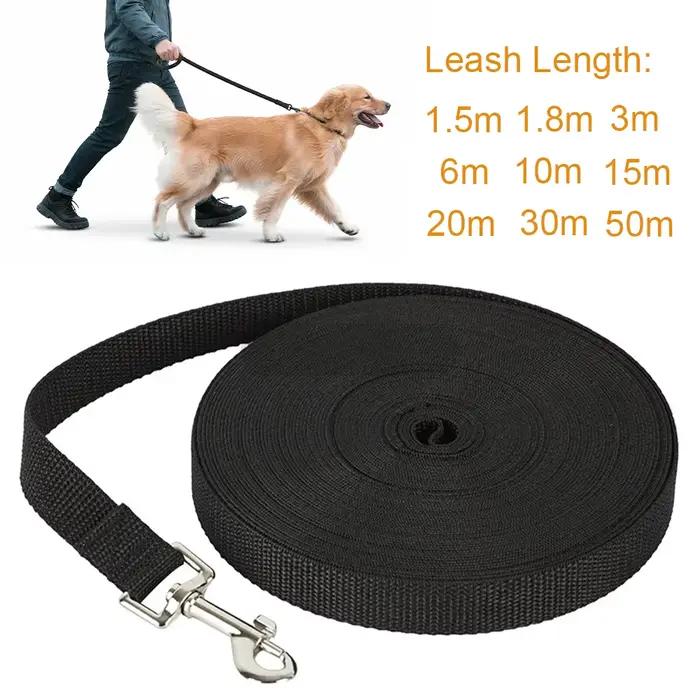 Longue laisse pour chien