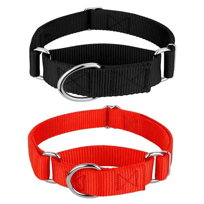 Collier Martingale pour chiens de petite à grande taille
