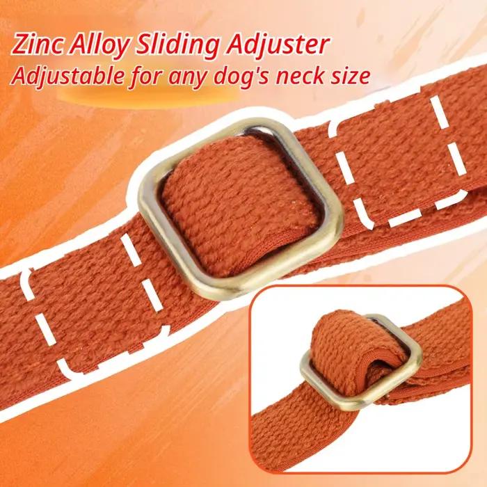 Collier pour animaux de compagnie rouge avec boucle en alliage