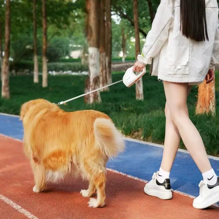 Laisse pour chien de compagnie de 5M