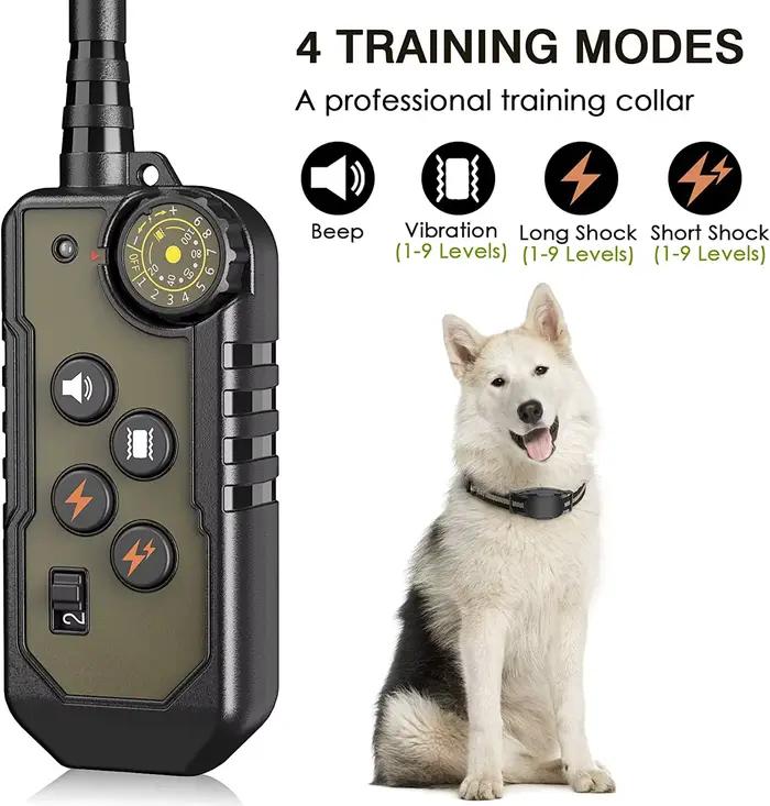 Collier de dressage électrique pour chien