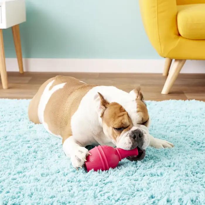 Jouet pour chien KONG Genius Leo de taille L, couleurs variées