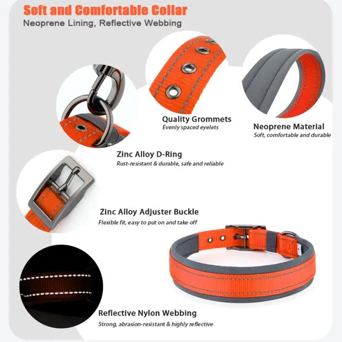 Collier pour chien de grande taille