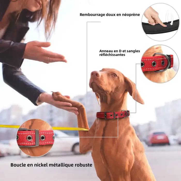 Collier pour chien rayé réfléchissant