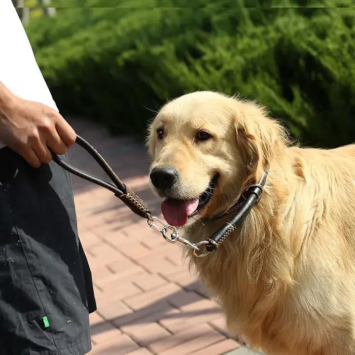 Collier pour chien en cuir véritable