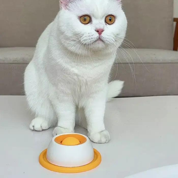 Gamelle Anti-Glouton pour chats et chiens