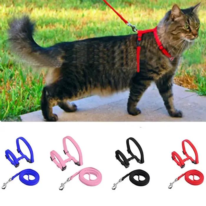 Collier réglable pour animaux de compagnie