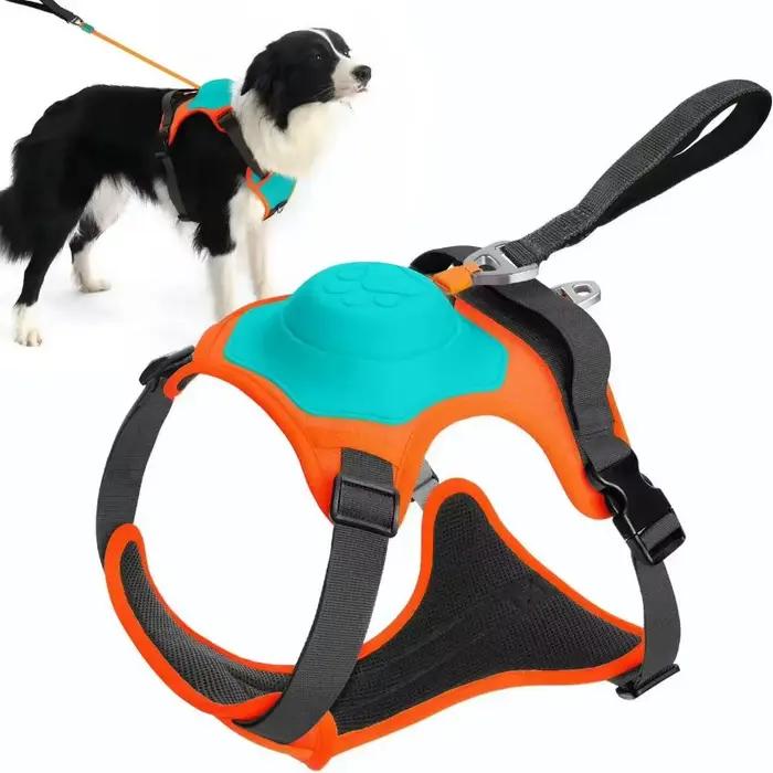 Harnais et laisse rétractable intégrés pour chien