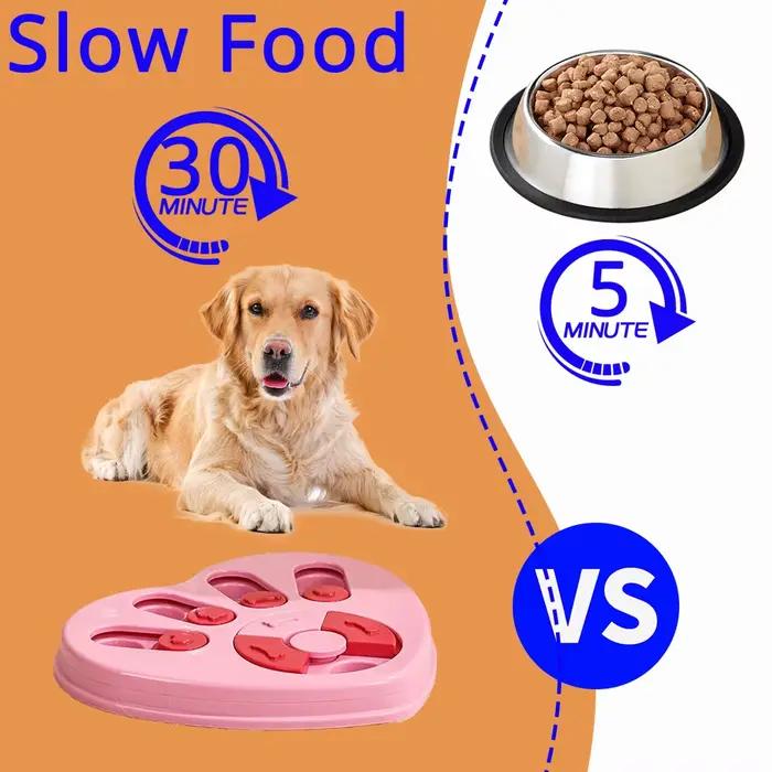 Jouet distributeur de friandises pour chien