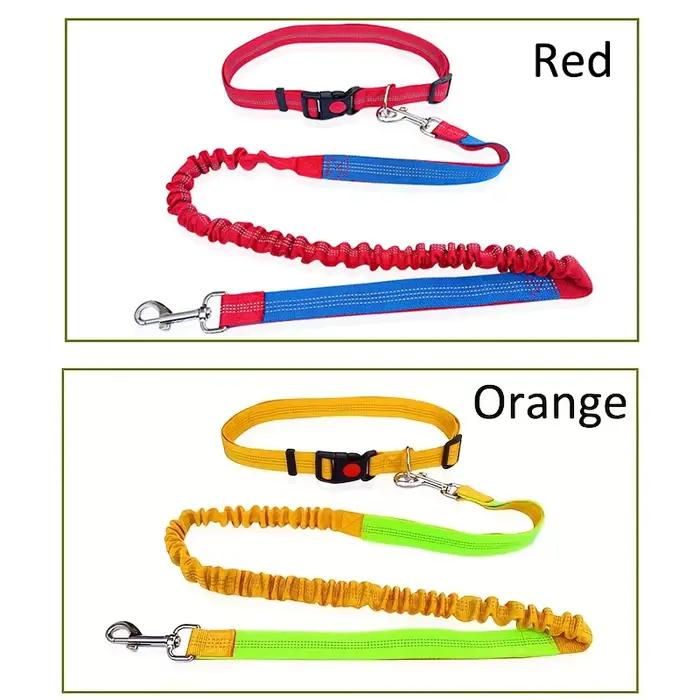 Laisse de chien en nylon élastique durable