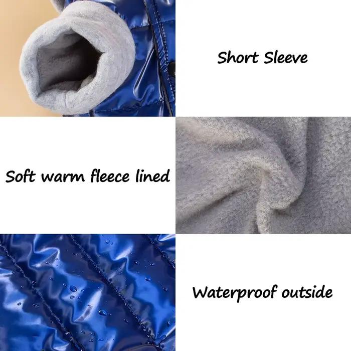Veste imperméable pour chien