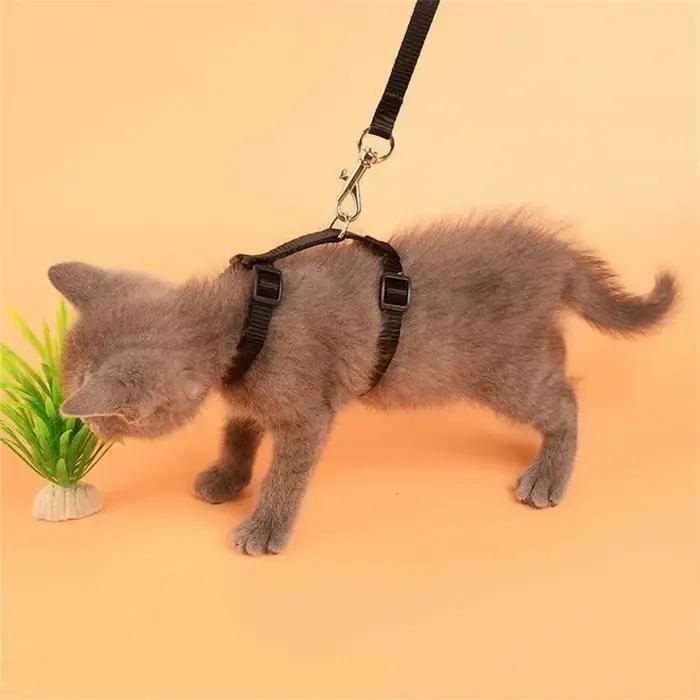 Collier de chat harnais laisse réglable en Nylon Traction pour animaux de compagnie