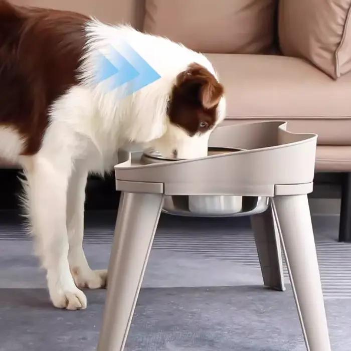 Bol pour animaux de compagnie en acier inoxydable