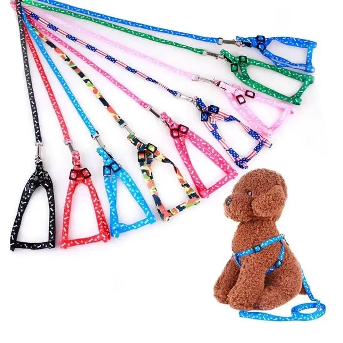 Laisse pour petit chien