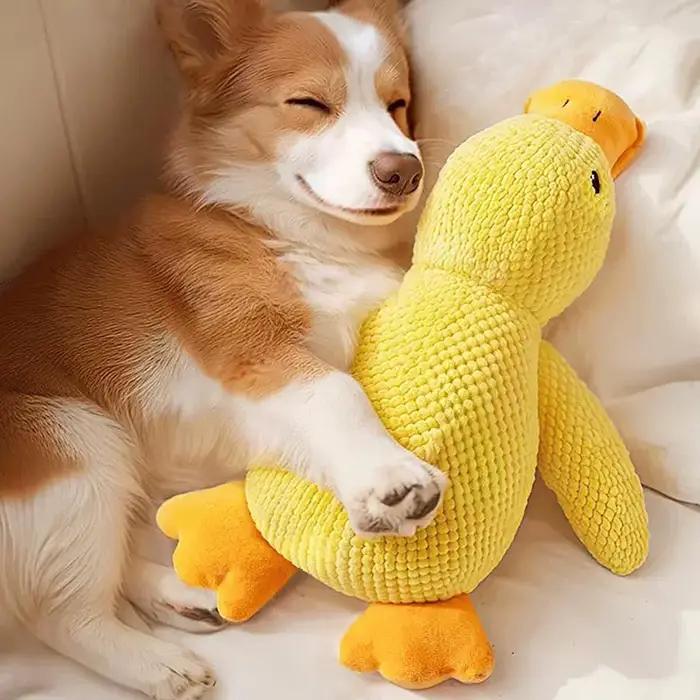 Jouet de canard apaisant pour chiens